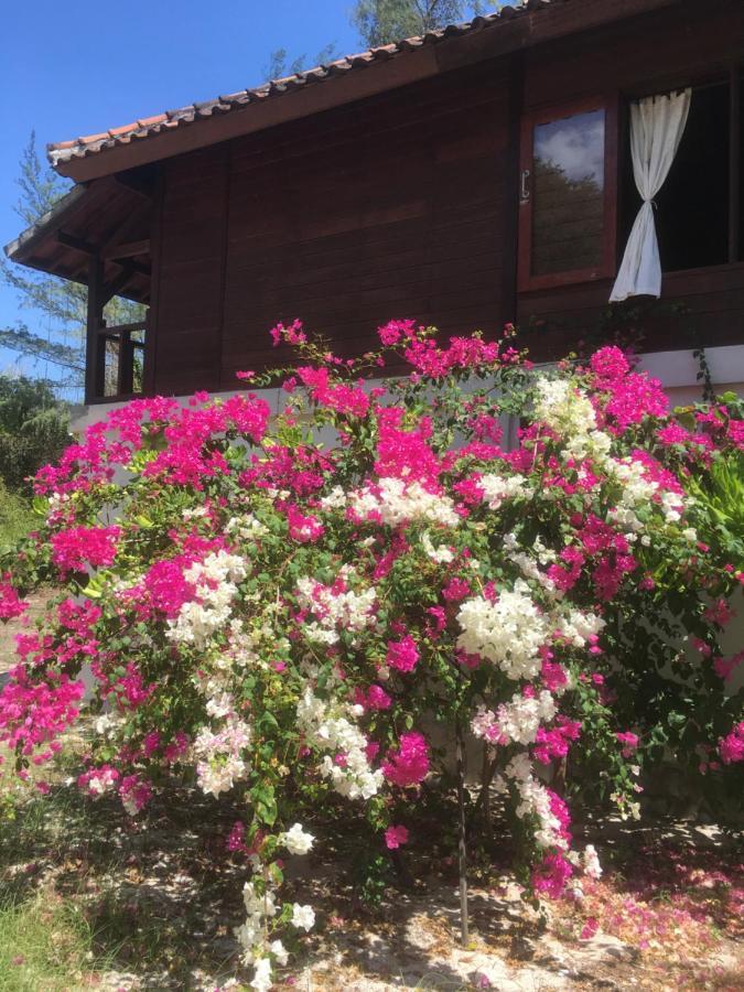 Biru Meno Beach Bungalows Gili Meno Exterior foto