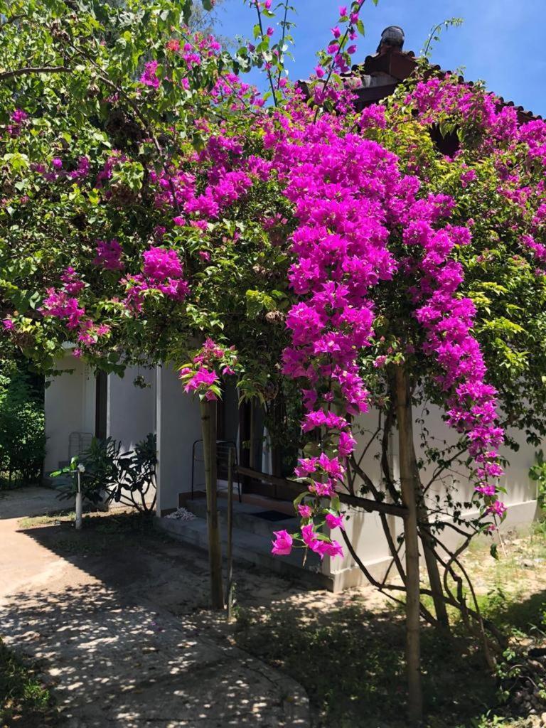 Biru Meno Beach Bungalows Gili Meno Exterior foto